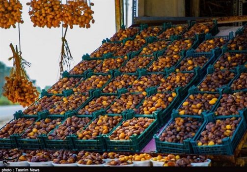صنایع فرآوری و بسته‌بندی خرما در استان بوشهر افزایش یابد