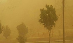 وضعیت جوی بوشهر تا هفته آینده گرد و غباری است