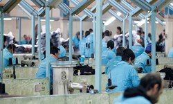 اشتغال ۸۰ درصدی در زندانهای استان تهران در سال جاری