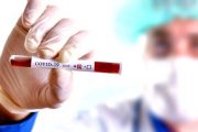 ۴۰ درصد مبتلایان کرونا در دشتی مربوط به فروردین ماه است