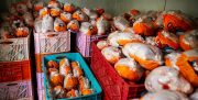 کمبود مرغ در بوشهر نیست / قیمت همان ۲۴ هزار و ۹۰۰ تومان