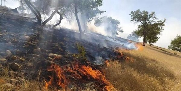 شعلههای آتشی که جنگلهای بمو را در بر گرفت مهار شد