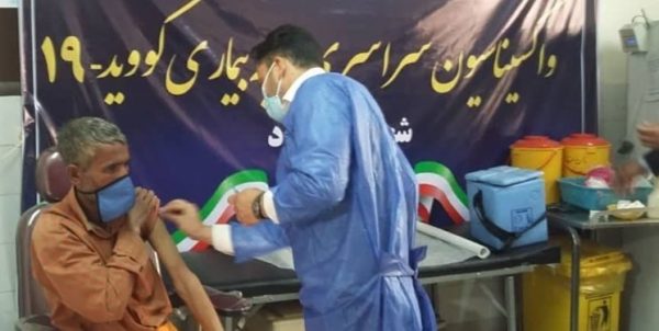واکسیناسیون ۴۰۰ پاکبان بوشهری آغاز شد