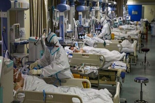 خروجیهای بخشهای کرونایی بوشهر از ورودیها بیشتر شد