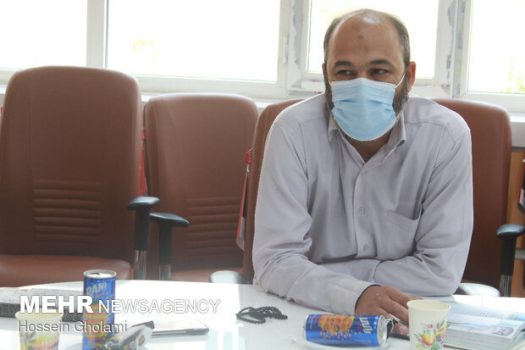 ۵۶ شهید دانشجو در استان بوشهر شناسایی شده است