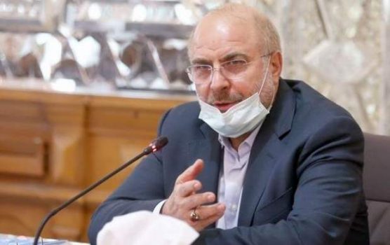 انتقاد رئیس مجلس از تضعیف و کم توجهی به عشایر