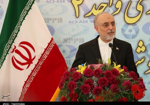 صالحی: نیروگاه هستهای بوشهر تا دو روز آینده وارد مدار میشود