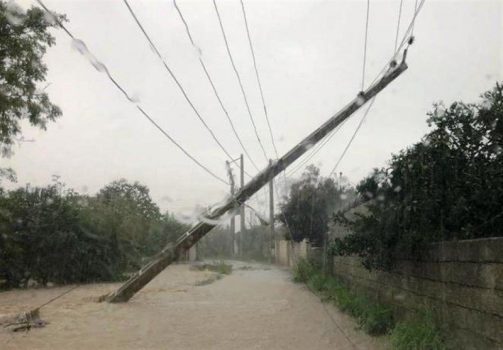 ۳۹ میلیارد ریال به تاسیسات برق استان بوشهر خسارت وارد شد