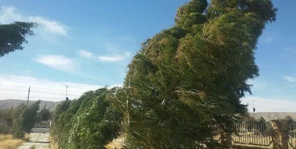 کاهش دما تا ۸ درجه در سواحل خزر و اردبیل/بادهای ۱۲۰ روزه در شرق و افزایش گرما در کشور