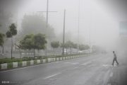 شرجی و رطوبت بالای هوا در استان بوشهر/ احتمال بارش باران