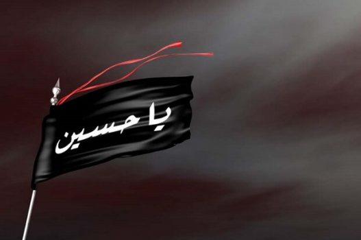 عملیات محوری «پویش ایران مشکی پوش» در استان بوشهر اجرا می‌شود