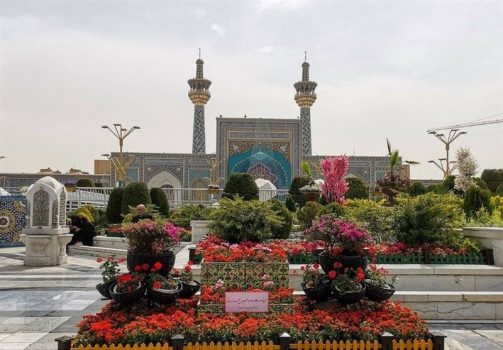 واکنش علمای اهلسنت استان بوشهر به هتک حرمت حرم امام رضا(ع)