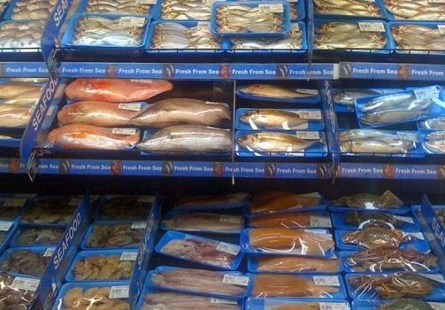 بیش از ۲۶ هزار تن انواع آبزیان از استان بوشهر صادر شد