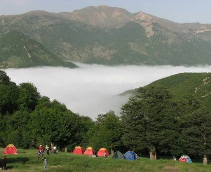 ورود خودروهای آفرود و تورهای فاقد مجوز رسمی به جنگل ابر در شاهرودممنوع شد