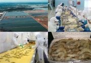 خط اعتباری ۲۰۰۰ میلیارد تومانی برای تعاونی‌های استان بوشهر تعیین شد