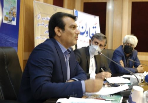 اراضی پرورش میگو استان بوشهر به تعاونیها واگذار میشود