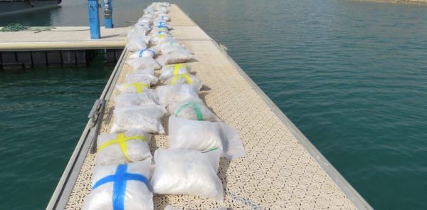 بیش از هشت تن مواد مخدر در استان بوشهر کشف شد