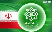 عناصر فعال در اغتشاشات شهرستان جم دستگیر شدند