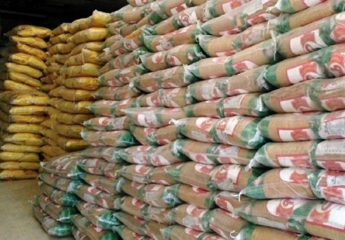 توزیع ۲۴۰۰ تن برنج از طریق تعاونی مرزنشینان استان بوشهر