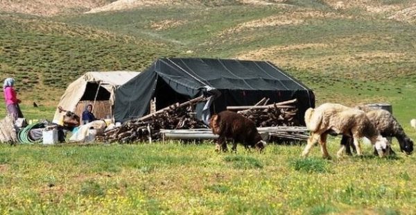 سرمایه‌گذاری ۴۹ میلیارد تومانی در مناطق عشایری استان بوشهر +تصاویر