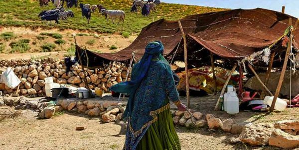 جهادگرانی که جلوی تلف شدن دام عشایر را گرفتند+عکس