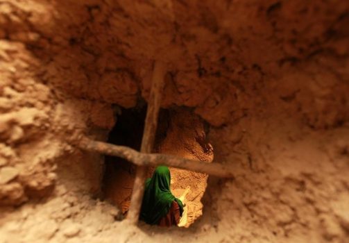 نکات کمتر عنوانشده از زندگی امام موسی بن جعفر(ع)