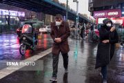 هوا در بوشهر سردتر می‌شود