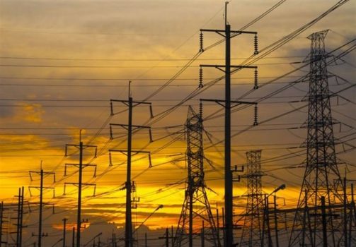 افتتاح طرحهای برق رسانی استان بوشهر با اعتبار ۳۲۵ میلیارد تومان