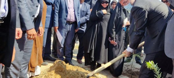 نهال کاری وزیر جهاد کشاورزی در دلوار جهت تحقق شعار کاشت ۱ میلیارد اصله نهال در کشور
