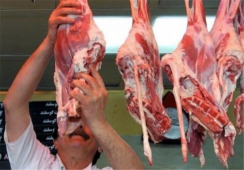 عرضه گوشت گرم تنظیم بازار در گناوه