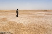 ۱۶ کانون بحران فرسایش بادی در استان بوشهر شناسایی شد