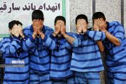 شناسایی و دستگیری ۲۵ نفر سارق در استان بوشهر