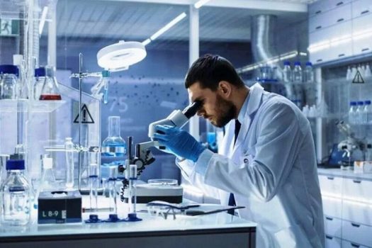 بهرهگیری از شرکتهای دانشبنیان از اولویتهای اداره کل بنادر و دریانوری بوشهر است