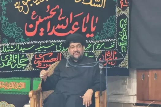 کربلا به واسطه خون امام حسین (ع) تقدس یافته است