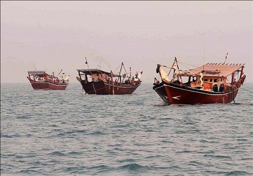 توقیف ۴ فروند شناور صیادی بی هویت در بوشهر/ صید میگو قاچاق و ادارات صیادی کشف شد