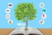 وزارت علوم، تحقیقات و فناوری با ایجاد پردیس فناوری خلیج فارس موافقت کرد