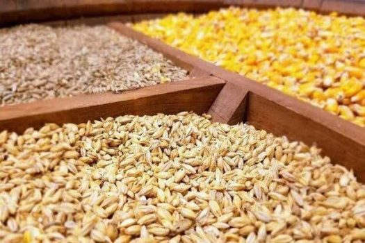 توزیع ۵۷ هزار تن نهاده دامی در استان بوشهر با نظارت دامپزشکی