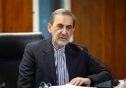 تحولات قفقاز|ولایتی: پروژه ناتو به ۴ دلیل شکست می‌خورد