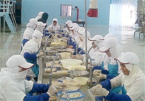 افتتاح ۱۴ صنایع فرآوری و غذایی استان بوشهر