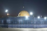 روایتگری مصور از جنایات، اشغال و مقاومت مردم فلسطین در بوشهر