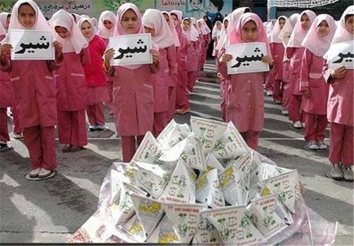 آغاز توزیع هفته‌ای ۲۵۰ هزار شیر پاکتی در مدارس استان بوشهر