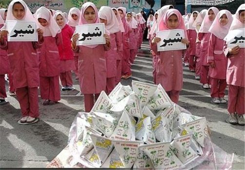 آغاز توزیع هفتهای ۲۵۰ هزار شیر پاکتی در مدارس استان بوشهر