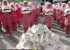 آغاز توزیع هفته‌ای ۲۵۰ هزار شیر پاکتی در مدارس استان بوشهر