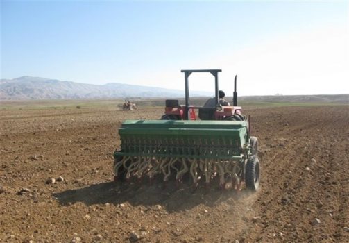 اجرای ۱۶۰۰ هکتار کشاورزی حفاظتی در استان بوشهر