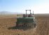 آغاز کشت بذر گندم در ۱۳۰ هزار هکتار از اراضی استان بوشهر
