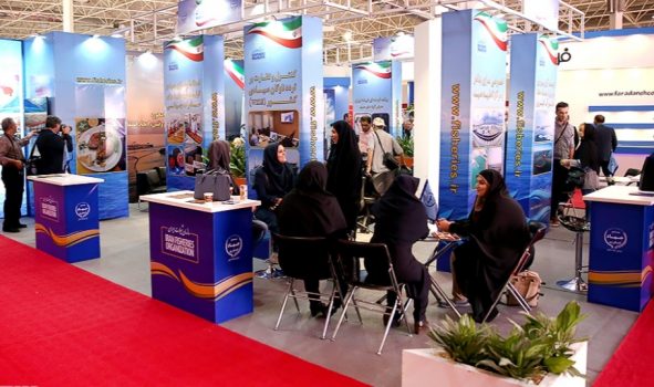 نمایشگاه آبزیان دریایی با حضور ۱۵ استان در بوشهر برگزار می شود