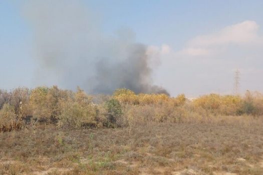 آتشسوزی در روستای «چاه شور» گناوه مهار شد