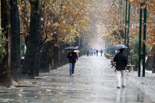 سامانه بارشی وارد استان بوشهر می‌شود