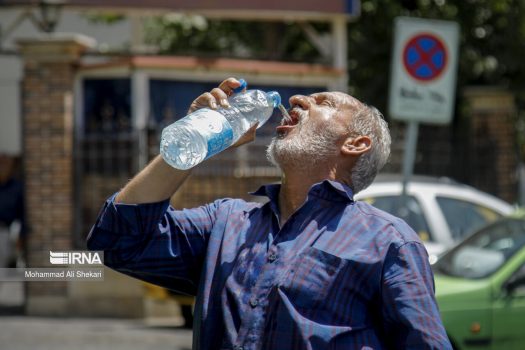 افزایش گرمازدگی در استان بوشهر