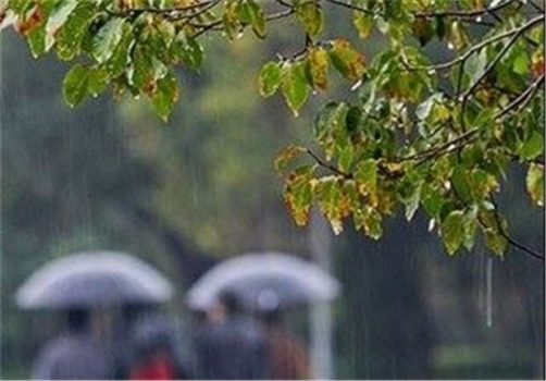 موج جدید ناپایداریهای جوی از دوشنبه در استان بوشهر آغاز میشود